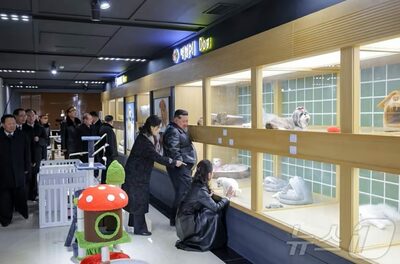 平壌に高層マンション林立、5万世帯計画“完遂”アピール…北朝鮮・金正恩総書記、娘・妻と竣工式に登場