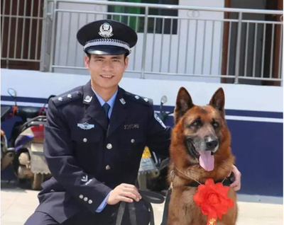 引退した警察犬が「家出」、愛情あふれるまなざしに感動 中国・雲南