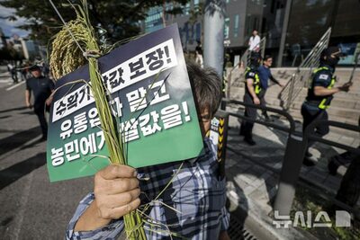 「AIとPOSデータ」デジタル技術でコメ価格安定化…韓国政府がシステム構築に着手