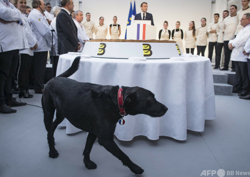 「捨てられたペットを引き取って」 マクロン仏大統領の愛犬、動画で訴え