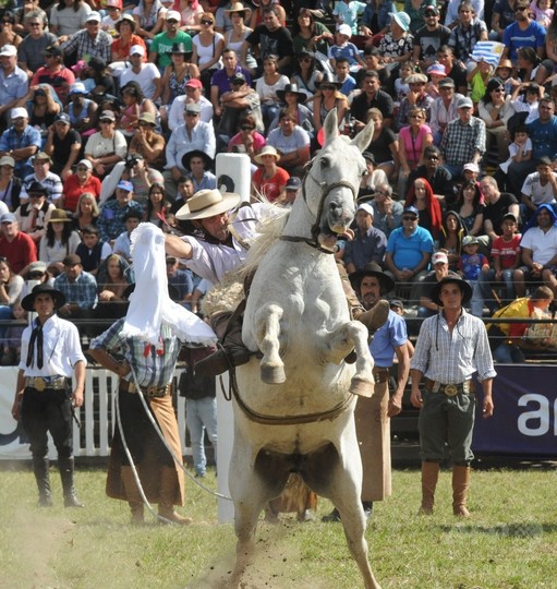 暴れ馬に挑むガウチョたち ウルグアイで伝統のロデオ 写真枚 国際ニュース Afpbb News
