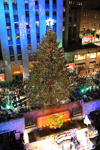 世界のクリスマスツリー ニューヨークから中東諸国まで 写真17枚 国際ニュース Afpbb News