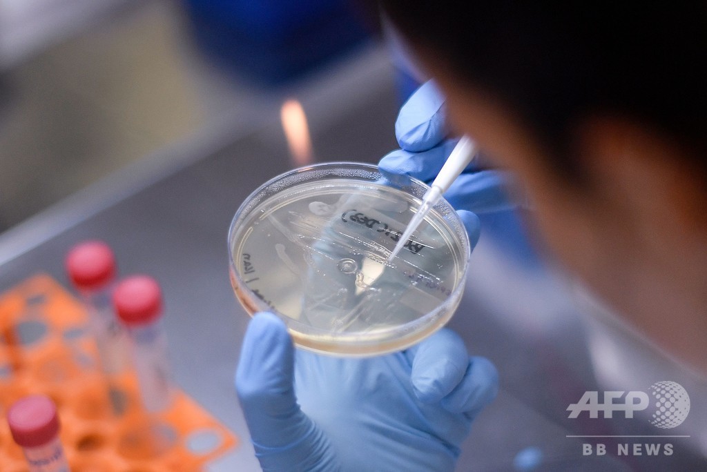 結核ワクチン、新型コロナに有効か 臨床試験で検証へ