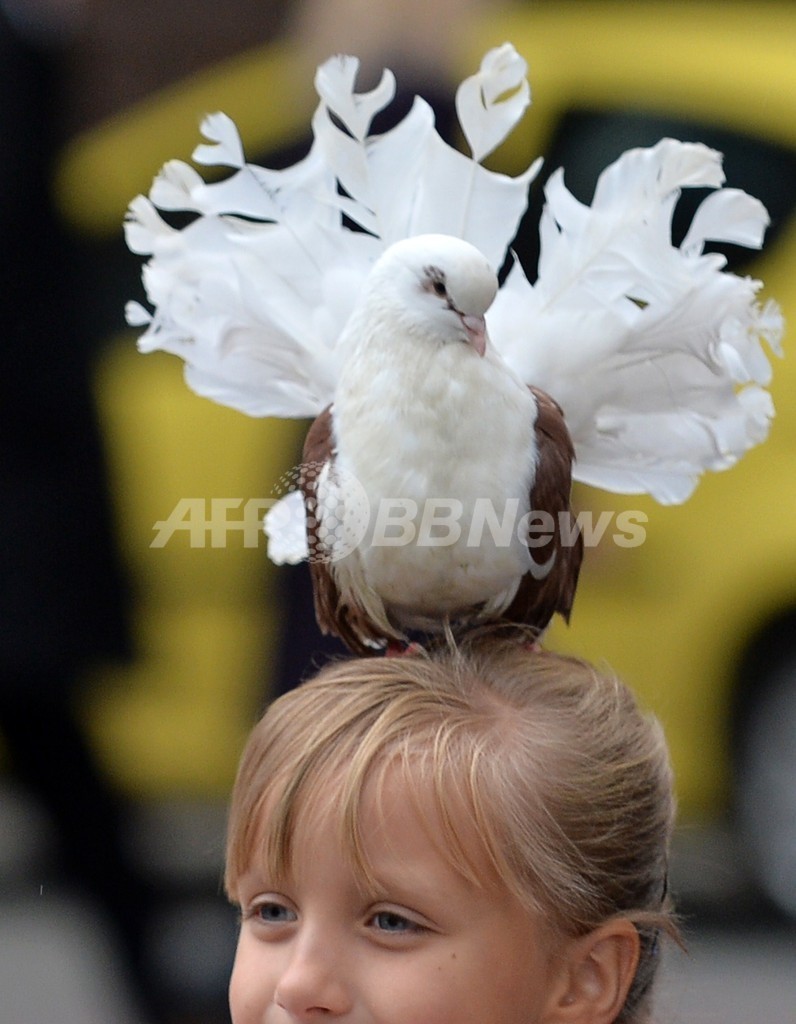 ウクライナ少女 ぼくも撮ってよ」、少女の頭に白いハト ウクライナ 写真2枚 ファッション ニュースならMODE PRESS powered by AFPBB News