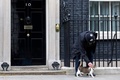 英ロンドンのダウニング街10番地、首相官邸前で警官になでられる猫のラリー（2015年5月9日撮影）。(c)Justin TALLIS / AFP