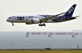 全日本空輸（All Nippon Airways、ANA）に25日引き渡された米航空機大手ボーイング（Boeing）の新世代旅客機「ボーイング787ドリームライナー（Boeing 787 Dreamliner）」1号機が28日、東京・羽田空港に到着した。

前日、明け方の曇り空のもと、予定より45分遅れで米ワシントン（Washington）州エバレット（Everett）のペインフィールド（Paine Field）空港を離陸した787は28日午前9時過ぎ、羽田空港に到着。多くの報道陣、航空ファンらに迎えられた。

1機平均2億200万ドル（約155億円）、乗客定員は330席。当初の予定では2008年初めに最初の機体が全日空に納入される予定だった。ボーイングにとってドリームライナーは、軽量化を図った中型旅客機の成功を賭けた存在でもある。

全日空は来月26日、成田発香港行きの便で、787を世界で初めて導入する。その後、羽田－北京（Beijing）や羽田－フランクフルト（Frankfurt）線でも運航していく。

写真は東京・羽田空港に着陸する全日本空輸のボーイング787ドリームライナー1号機（2011年9月28日撮影）。(c)AFP/Yoshikazu TSUNO