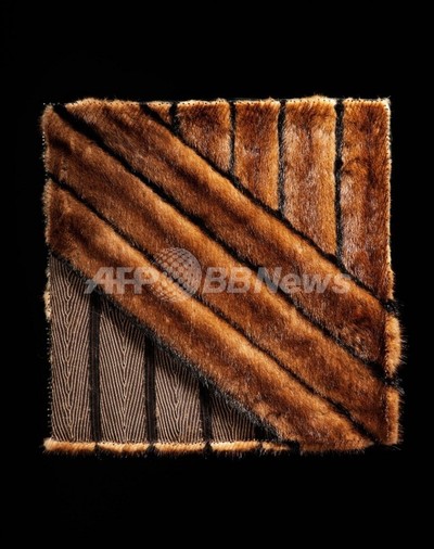 FENDI UN ART AUTRE クラフトと創造のアート本 フェンディ」のアート