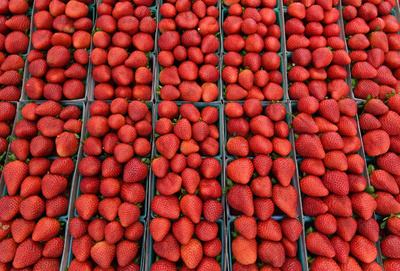 イチゴへの縫い針混入騒動で50歳の女を逮捕、豪警察