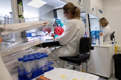 女性科学者、半数が職場でセクハラ被害