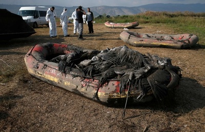 鳥インフル流行、ツル大量死 イスラエル