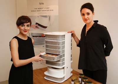 台所で育てた幼虫を食べる「食の革命」到来？オーストリア