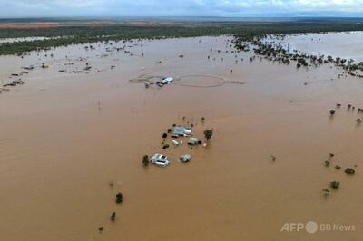 家畜10万頭超が水に流されるか水死 オーストラリアで洪水