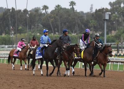 サンタアニタでまたも馬の死、昨年末から26頭目 米名門競馬場