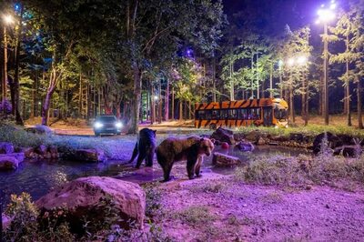韓国のテーマパーク、酷暑で夜に人気集中…ホタル・サファリ・花火で集客