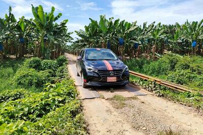 チキータ子会社、パナマのバナナ労働者全員解雇へ