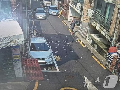 韓国軍「北朝鮮のゴミ風船約360個識別」…大半が紙類「危害物質ない」