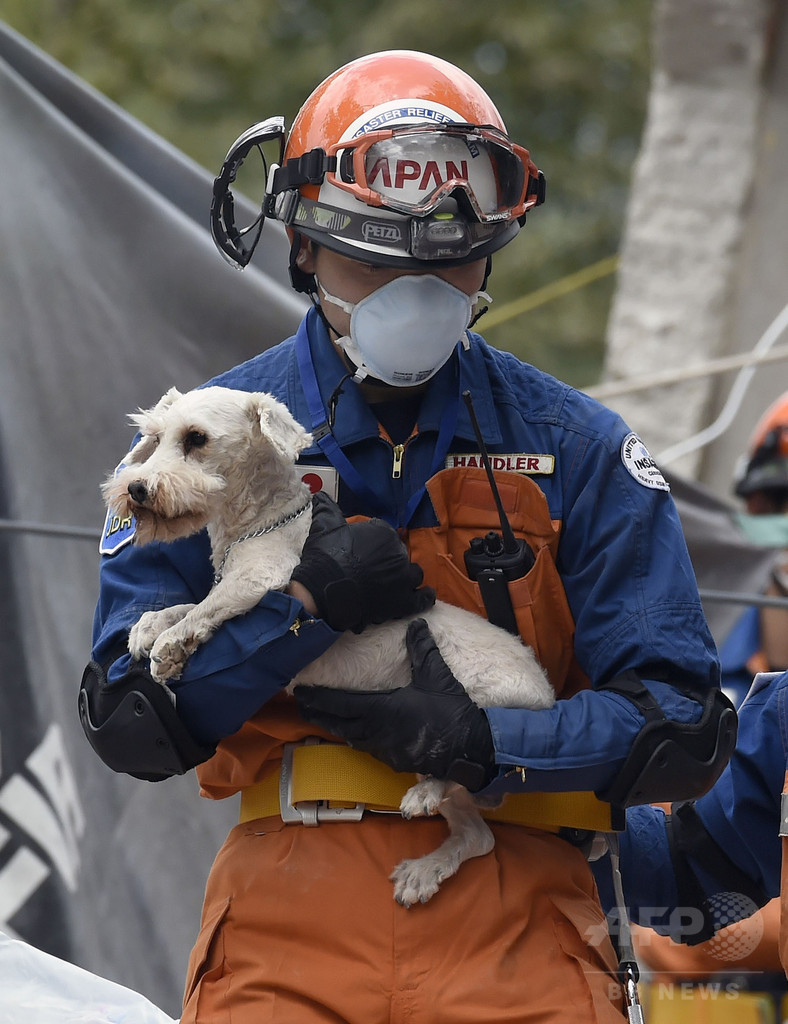 メキシコ地震、日本の救助隊が犬を救出 発生から5日ぶり