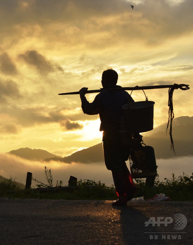 夏の棚田の農作業風景、貴州