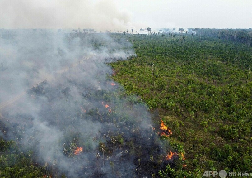 アマゾン森林火災、9月前半に記録的増加率 1日平均1400件