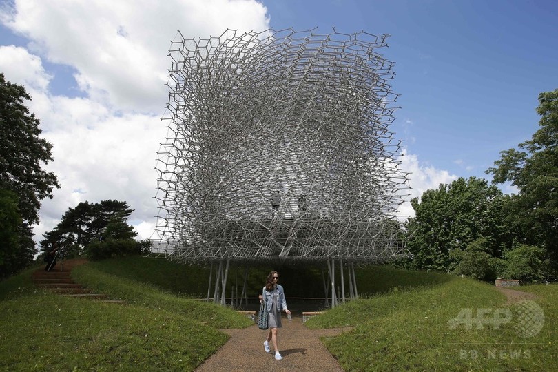英ロンドンの王立植物園に 巨大ハチの巣 登場 写真枚 国際ニュース Afpbb News