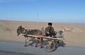 中国・新疆ウイグル自治区ホータン市で、ロバの馬車に乗る男性（2018年2月17日撮影）。(c)AFP PHOTO / BEN DOOLEY