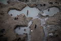 アラビア半島にある死海（Dead Sea）とその沿岸の温泉でくつろぐ人々。死海は、世界新七不思議を選出するオンライン投票の最終候補28か所の1つに選ばれている。

写真は、エンゲディ（Ein Gedi）キブツ（集団農場）そばの温泉に入るイスラエル人（2011年11月10日撮影）。(c)AFP/MENAHEM KAHANA