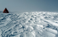 南極半島（Antarctic Peninsula）北端沖にあるジェームズロス島（James Ross Island）に設営されたテント（2008年2月25日撮影、2013年4月15日提供）。(c)AFP/AUSTRALIAN NATIONAL UNIVERSITY/JACK TREIST