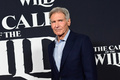 米カリフォルニア州ロサンゼルスで主演作のプレミア上映会に出席する米俳優のハリソン・フォード（2020年2月13日撮影）。(c)FREDERIC J. BROWN / AFP