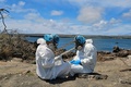 エクアドル・ガラパゴス諸島で鳥を検査するガラパゴス国立公園の職員。同園提供（2023年9月18日提供）。(c)AFP PHOTO / GALAPAGOS NATIONAL PARK