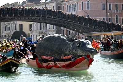 img_1a68949aa25138d6511b9e333c