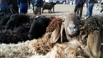 伝統的なバザールに集うカシュガルの人、牛、羊