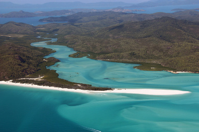 豪グレートバリアリーフでサメ襲撃、男性負傷 半年で4件目