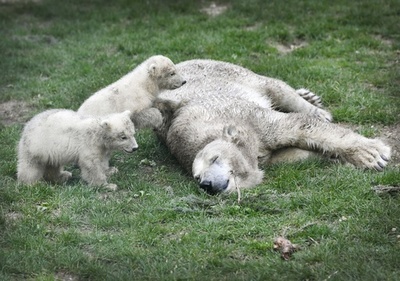 【今日の1枚】起きてよ～、最高に幸せな瞬間