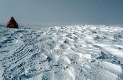 南極の夏の氷、10倍の速度で融解 研究