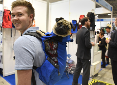 家具から化粧品まで、 驚きの「ペット」製品ずらり　東京