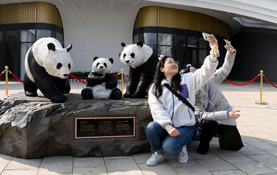 日本、米国からパンダの帰国ラッシュ