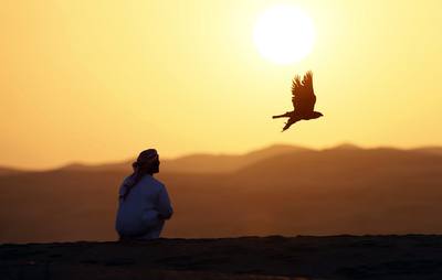 アブダビの砂漠にたたずむ鷹匠たち、アラブ首長国連邦