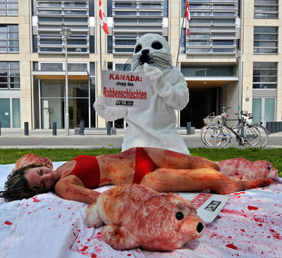 カナダ、アザラシ製品禁輸でEUをWTO提訴へ