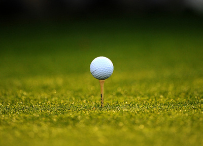 毒グモにかまれたゴルフ選手、ティーで毒抜いてプレー続行