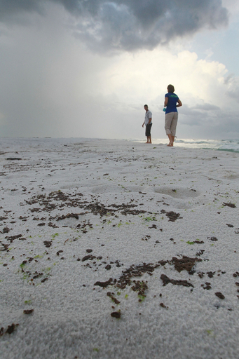 フロリダのビーチにも油の塊、観光業界にも影響必至