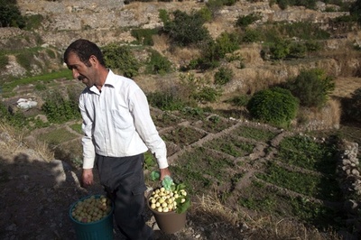 【特集】2014年、新たに登録された世界遺産