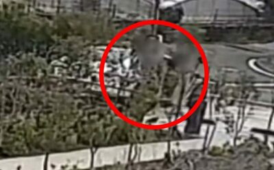 不適切な20分間…韓国・他人の駐車場を「ホテル」代わりにした男女の呆れたマナー