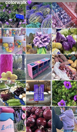 中国で色彩を探す散歩の「カラーウォーク」が人気