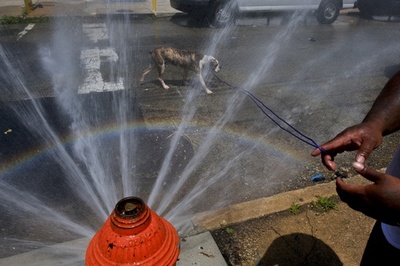 米、中西部から大西洋岸に猛暑 NYで非常事態宣言 イベント中止相次ぐ