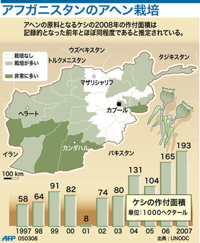 【図解】アフガニスタンのアヘン栽培
