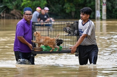 【今日の1枚】みんな、無事に救出