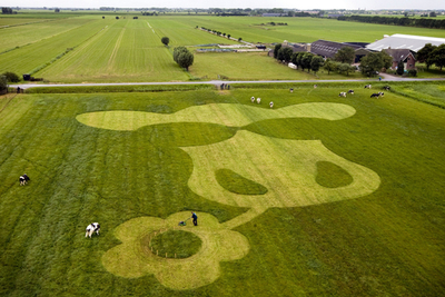 牧場に巨大牛？75平方メートルの芝生アート