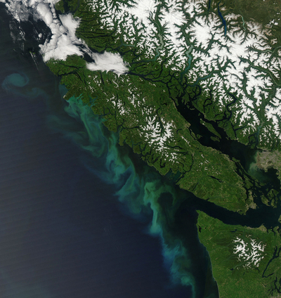 バンクーバー沿岸で8本目の片足発見、カナダ