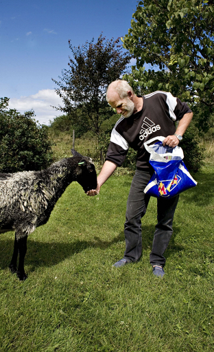 壁も鉄格子もない刑務所、羊の世話で更正