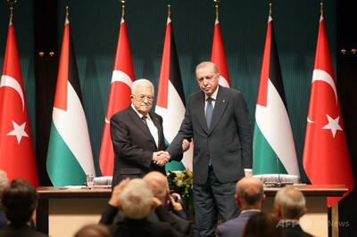 イスラエルはパレスチナを「人類共通の課題から排除しようと試み」 トルコ大統領
